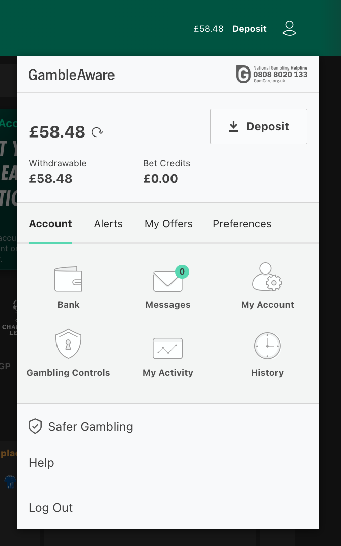 Bet365 account panel showing standard balance and bet credit balance